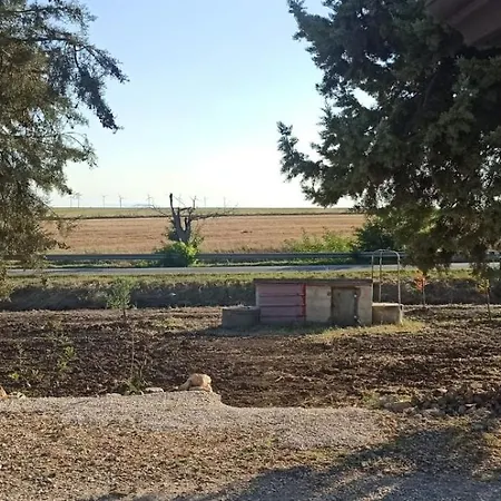 Donna Sandra Villa *